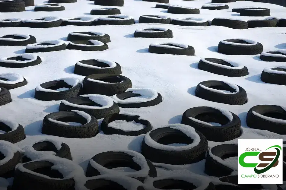 silagem de capim de alta qualidade