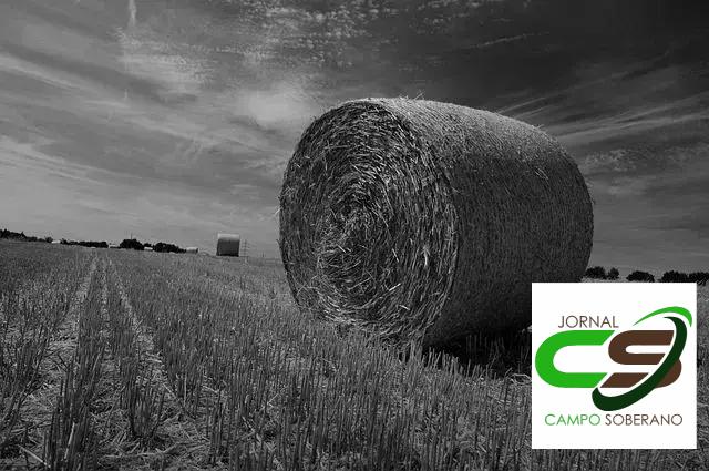 Complemento Nutricional em Solos Férteis