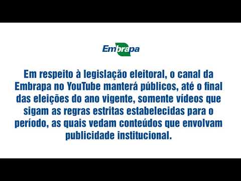 comunicado sobre o periodo eleitoral 2022