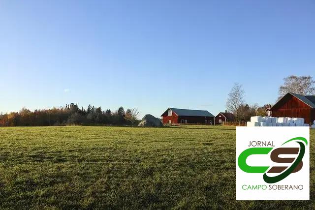 Condições Climáticas Favoráveis