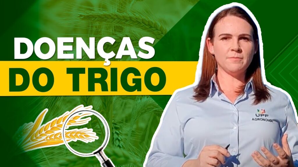 controle das doencas do trigo com carolina deuner