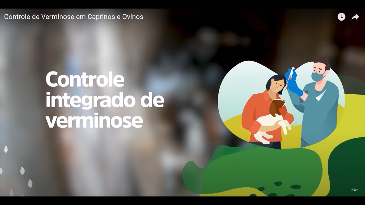 controle de verminose em caprinos e ovinos