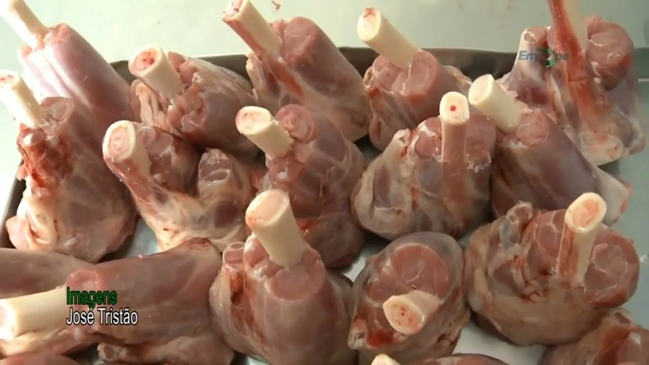 cortes nobres de ovelha e carneiro