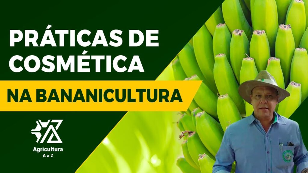 "Cosmética inovadora na bananicultura" - Sérgio Donato 15 cosmetica inovadora na bananicultura sergio donato