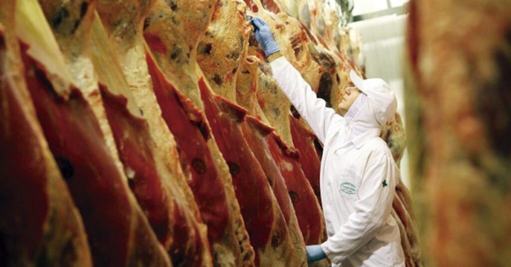 Semana de preços firmes no boi, marcada pela queda de braço entre pecuaristas e frigoríficos • Portal DBO