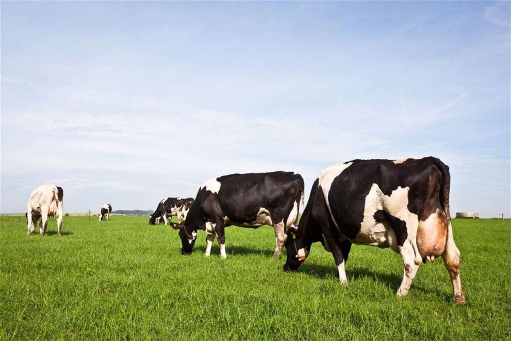 crise na producao baixa remuneracao e reducao de produtores em 2023