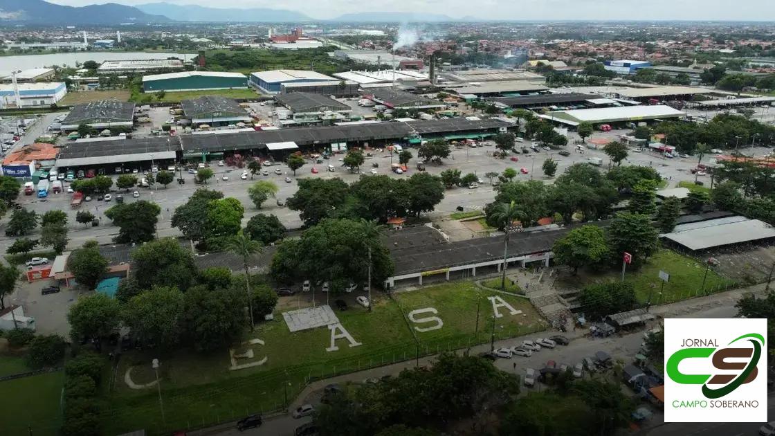 Cuidados essenciais ao instalar grama do Ceasa Bauru