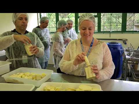 curso ensina boas praticas de processamento de palmito