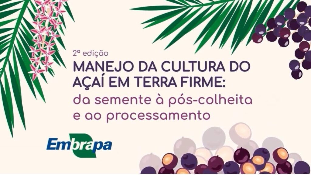 curso manejo da cultura do acai em terra firme
