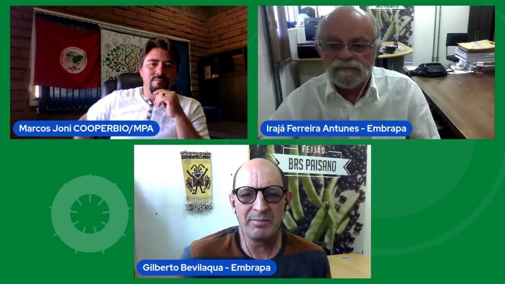 curso producao de raizes e graos em sistemas de producao de base ecologica 1