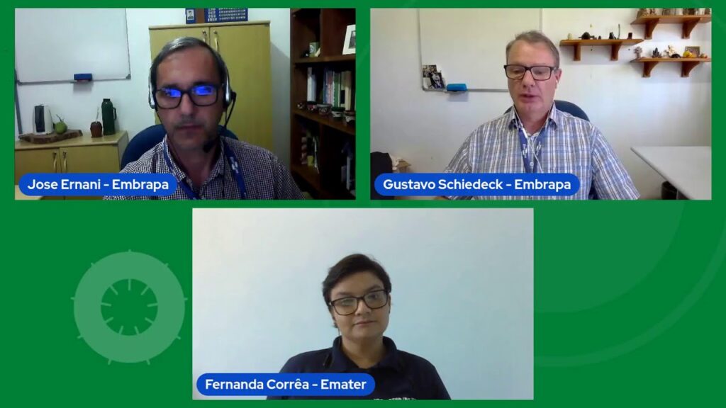 curso producao de raizes e graos em sistemas de producao de base ecologica