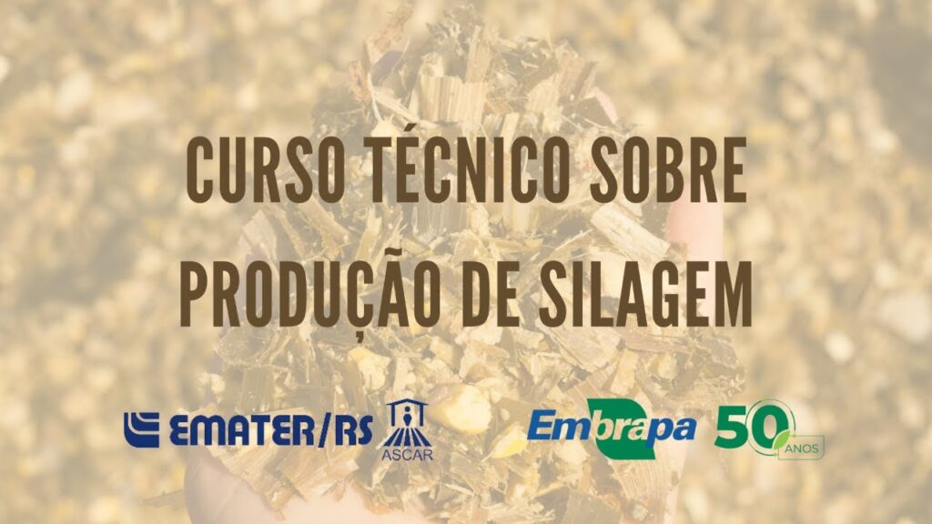 curso tecnico sobre producao de silagem