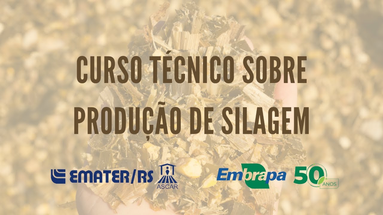 curso tecnico sobre producao de silagem