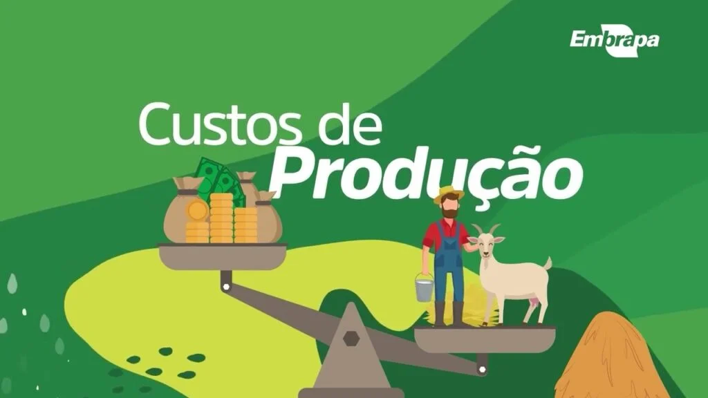 custos de producao de caprinos e ovinos