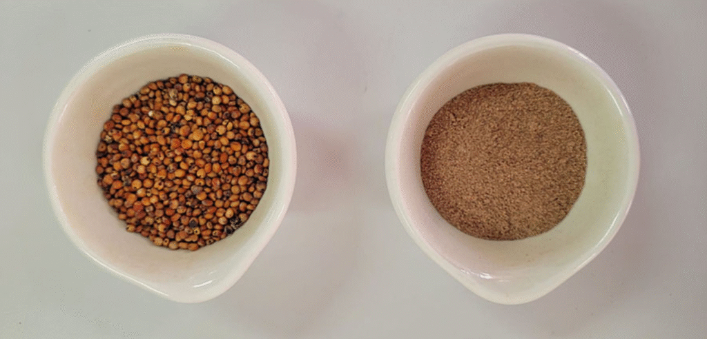 Descubra a farinha integral de sorgo: antioxidante e saciante 8 Farinha integral de sorgo é antioxidante e atua nos processos ligados à saciedade