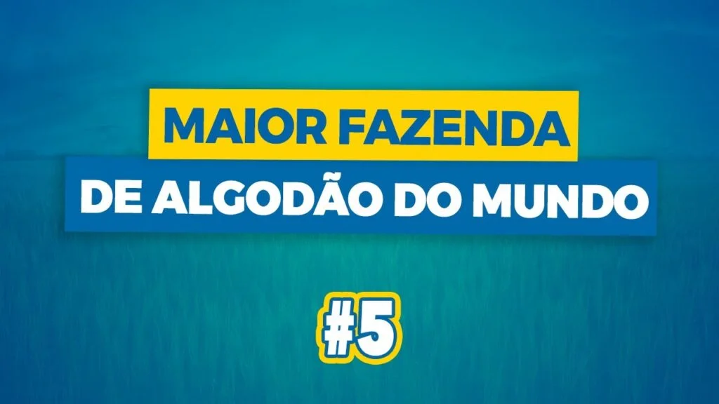 "Descubra a Gigante Fazenda de Algodão" #Shorts 1 descubra a gigante fazenda de algodao shorts