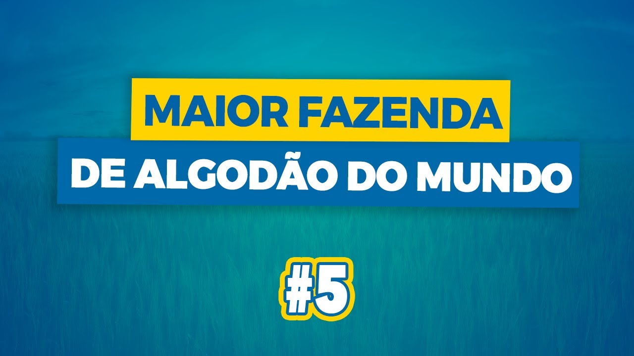 “Descubra a Gigante Fazenda de Algodão” #Shorts