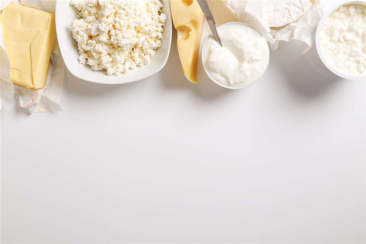 descubra o queijo mais fedido 1