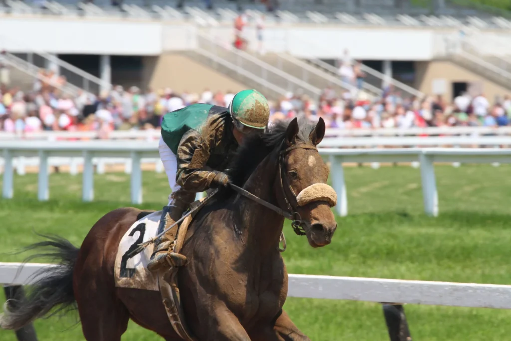Palpites, Horários e Onde Assistir Ao Vivo