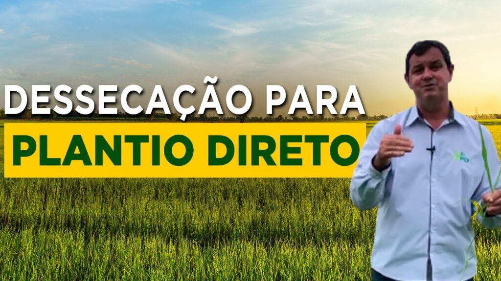 dessecacao para plantio direto com prof claudio