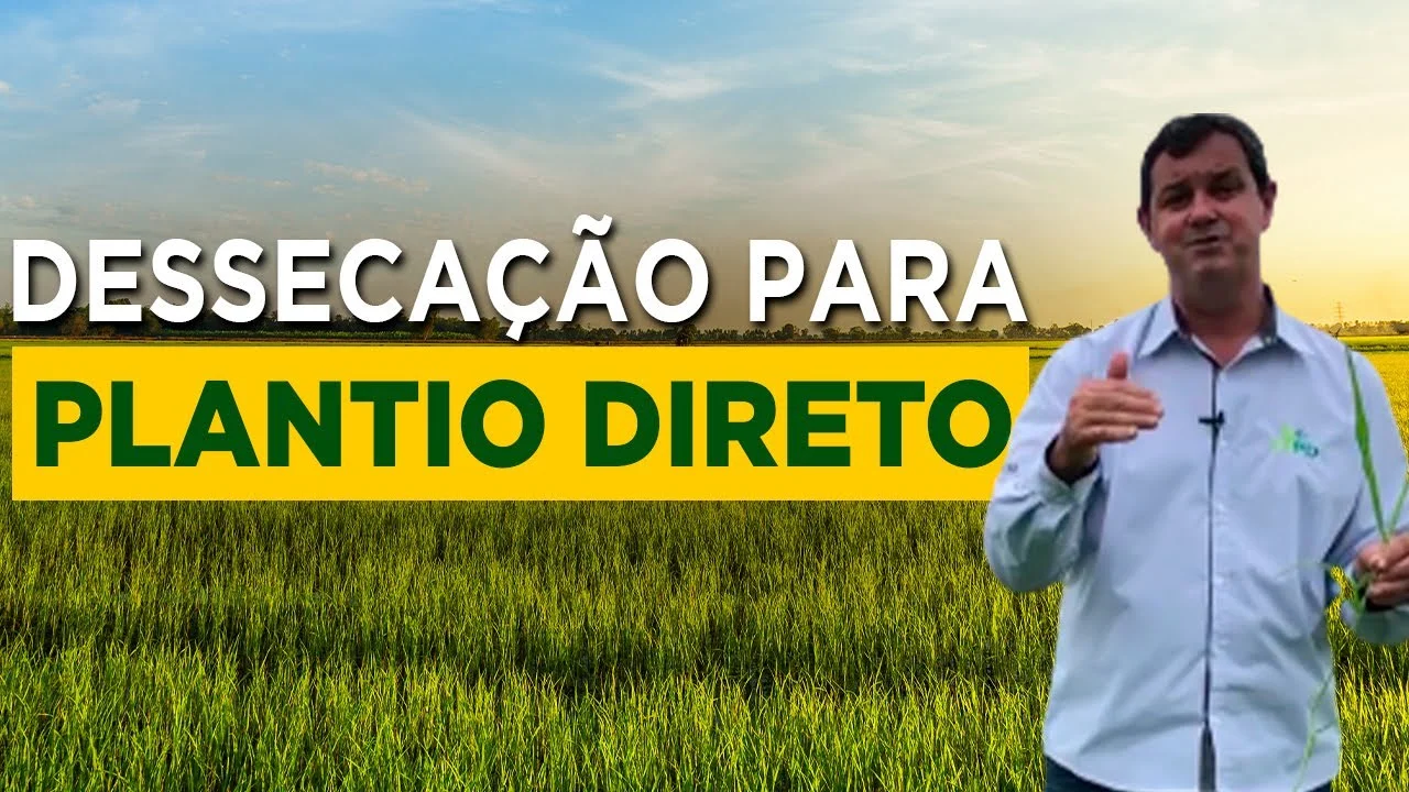 dessecacao para plantio direto com prof claudio
