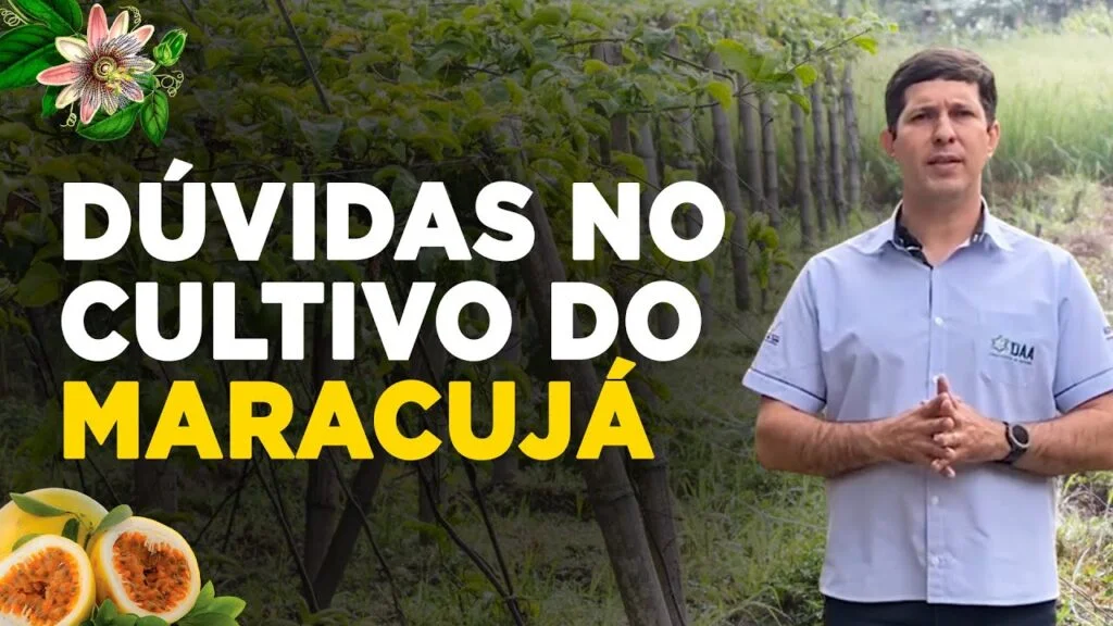 Desvendando dúvidas sobre o cultivo do maracujá 2 desvendando duvidas sobre o cultivo do maracuja