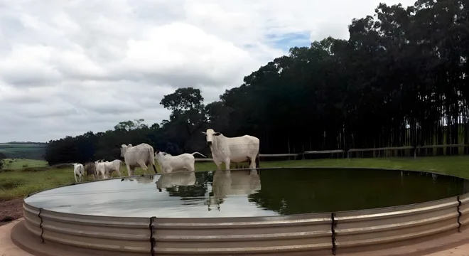 Radar Sanitário para dezembro - Destaque Rural