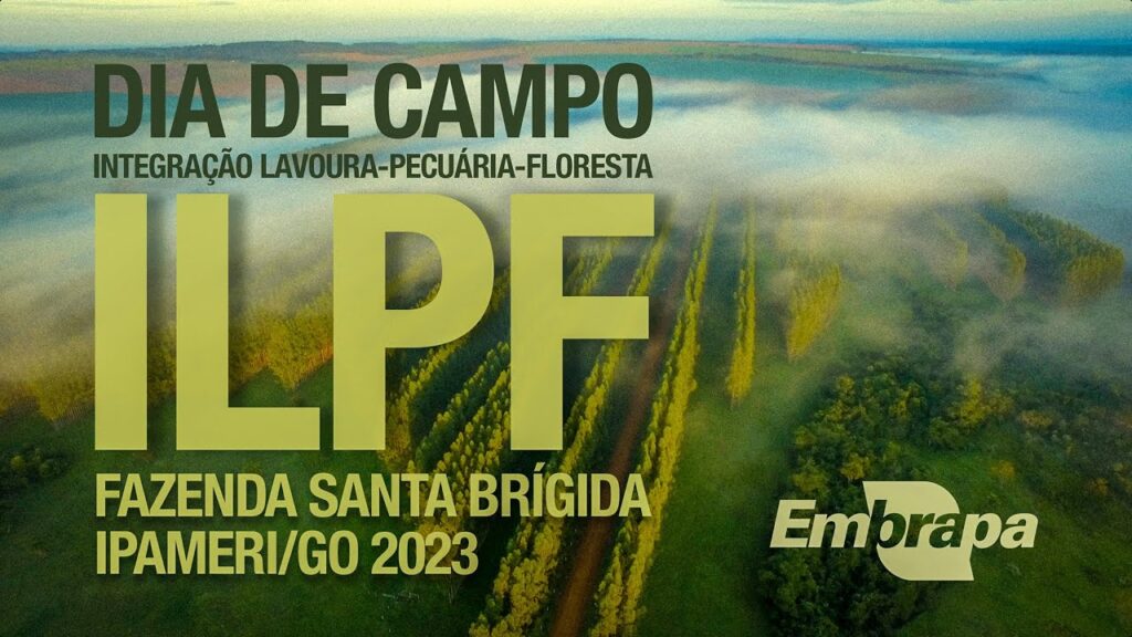dia de campo ilpf fazenda santa brigida 2023