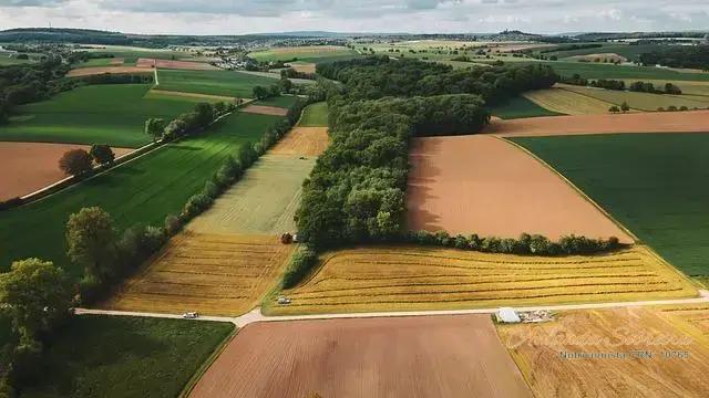 Dicas para Melhorar a Qualidade da Silagem na Sua Fazenda