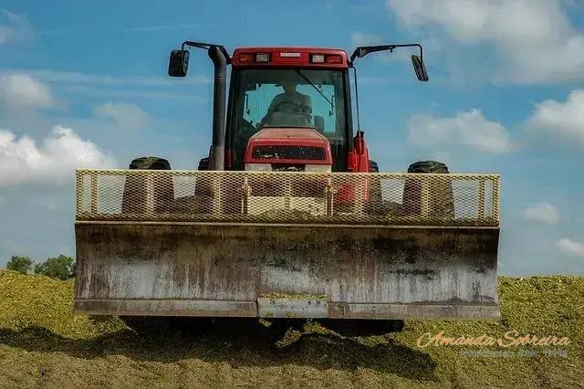 Dicas para Melhorar a Qualidade da Sua Silagem Dicas para Melhorar a Qualidade da Sua Silagem