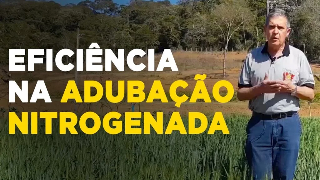 Domine a Adubação de Nitrogênio 32 domine a adubacao de nitrogenio