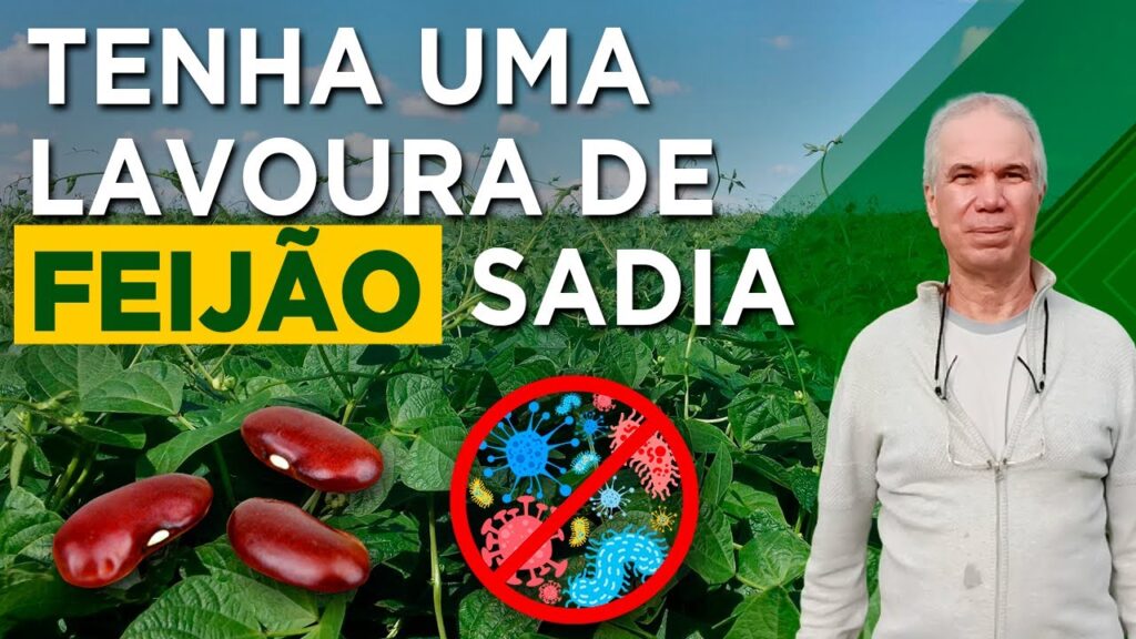 dominio das doencas do feijao prof rogerio faria vieira f09f8cb1