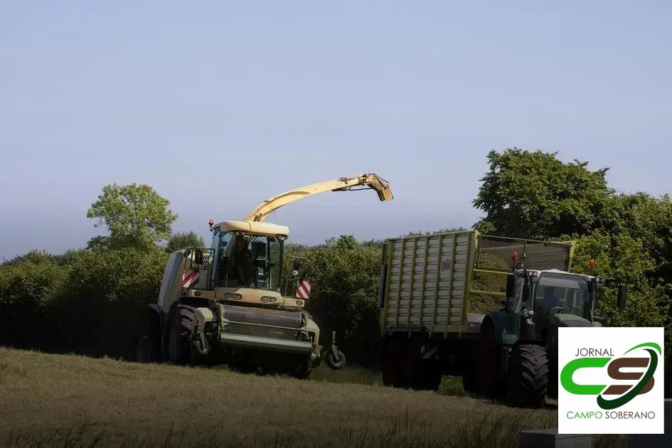 Economia na Alimentação Economia na Alimentação