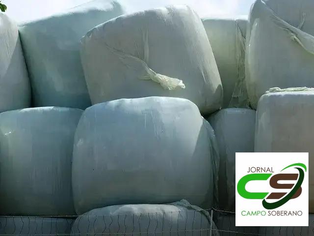 Economia na Alimentação Animal Economia na Alimentação Animal