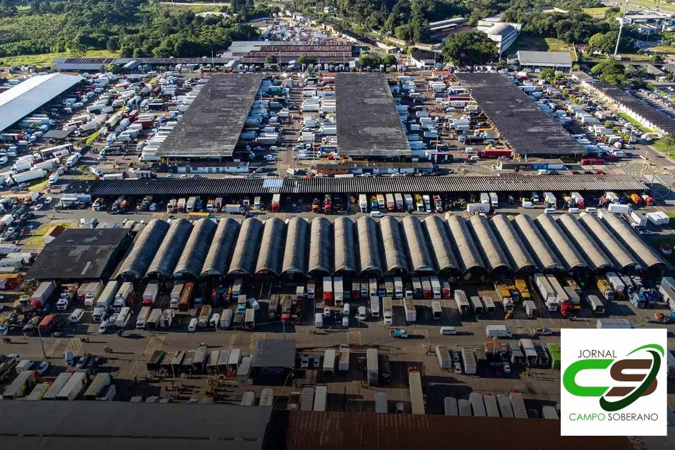 Economizando na Compra de Flores no Atacado em Ceasa SP Economizando na Compra de Flores no Atacado em Ceasa SP