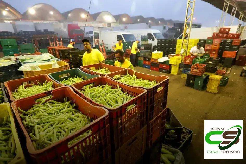 Economize no Mercado: Dicas para Comprar Verduras no Ceasa
