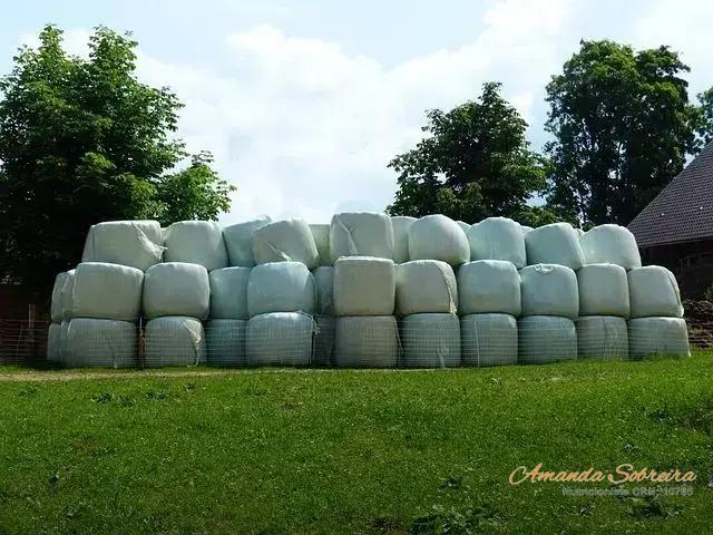 Entendendo o Processo de Fermentação na Produção de Silagem Entendendo o Processo de Fermentação na Produção de Silagem