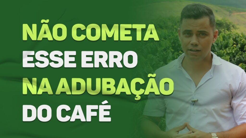 Erro na Adubação do Café: O que Evitar 6 erro na adubacao do cafe o que evitar