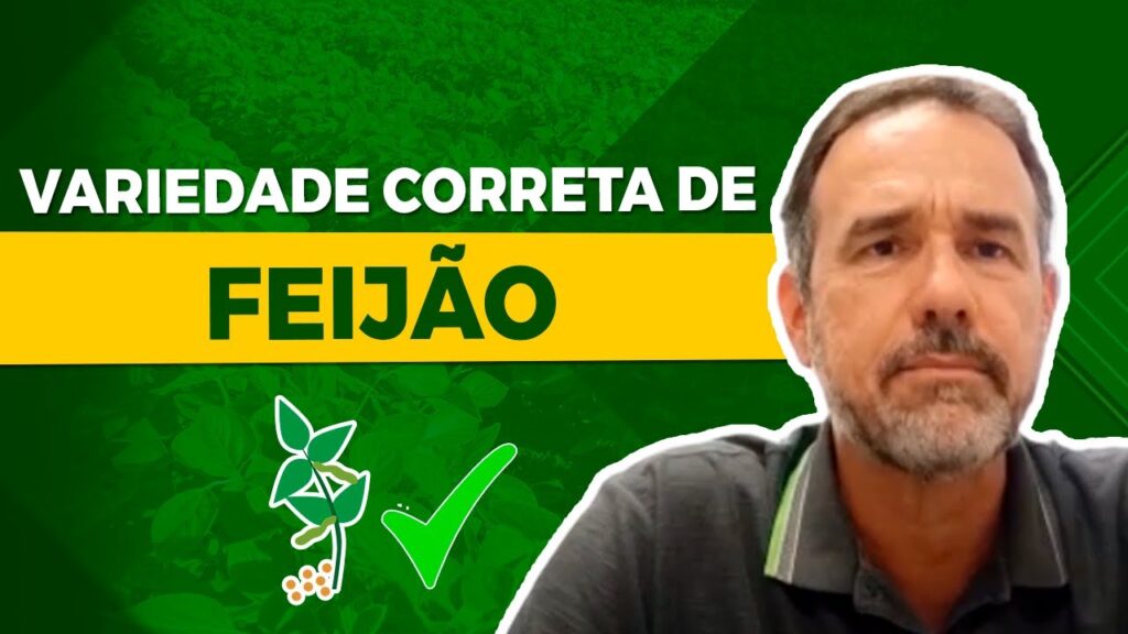 Escolha o Melhor Feijão - com Dr Leonardo Melo 5 escolha o melhor feijao com dr leonardo melo