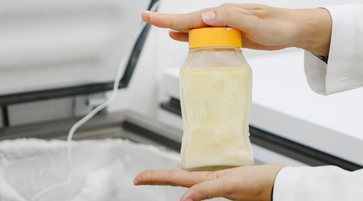 Doe leite materno em Sergipe: saiba como