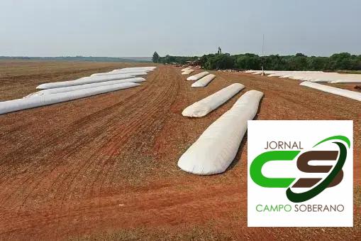 Estratégias de Aumento de Rendimento Estratégias de Aumento de Rendimento