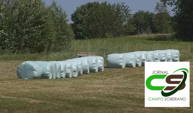 Estratégias de Manejo para Otimização em Solos Férteis