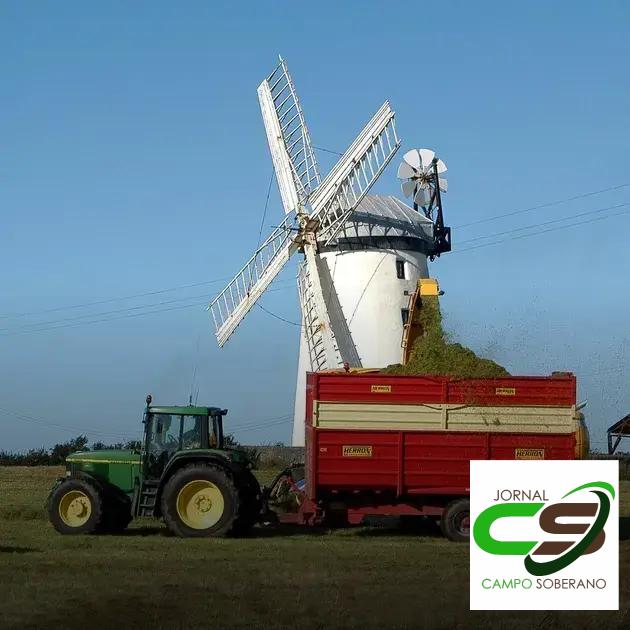 Estratégias de Manejo para Pastagens em Solos Pobres