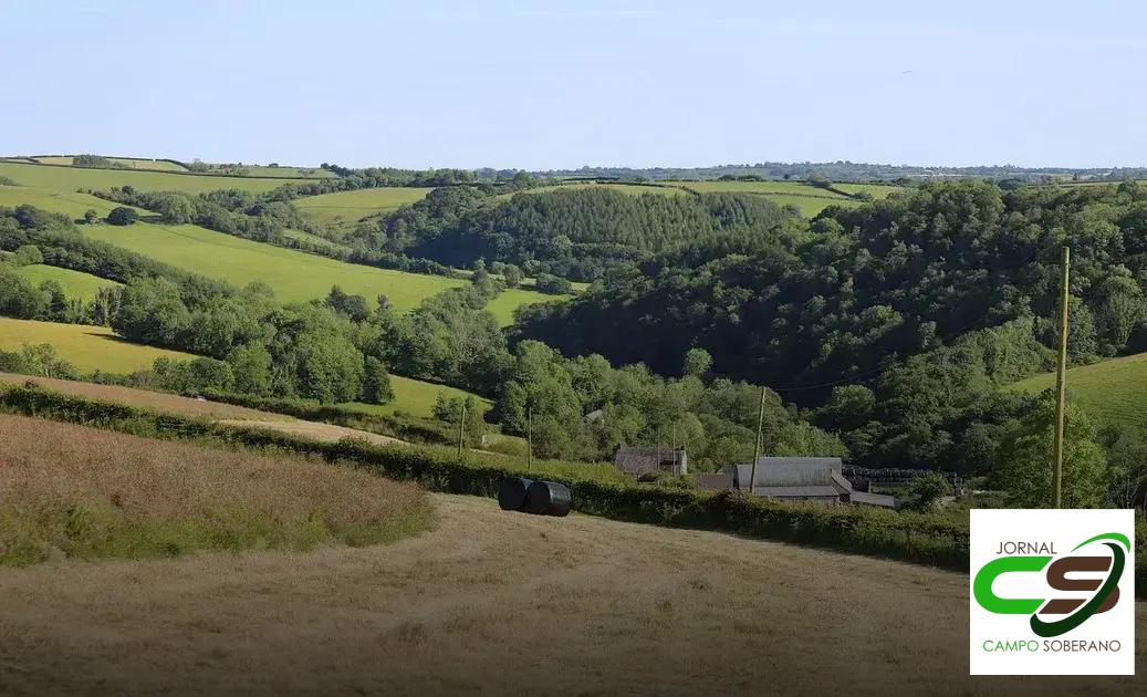 Estratégias de Uso Eficiente em Pastagens Altamente Produtivas