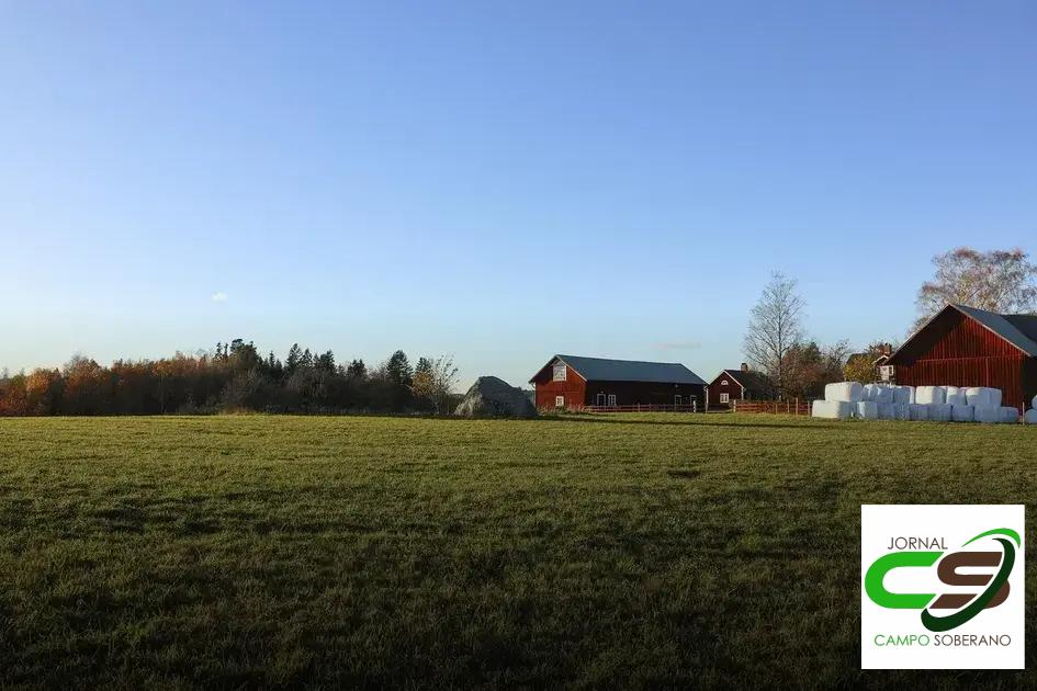 Estratégias para Eventualidades Estratégias para Eventualidades