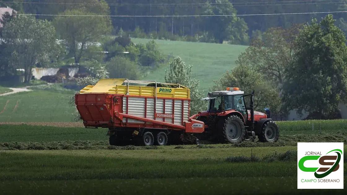 Estratégias para Maximizar os Benefícios das Sementes de Sorgo Estratégias para Maximizar os Benefícios das Sementes de Sorgo