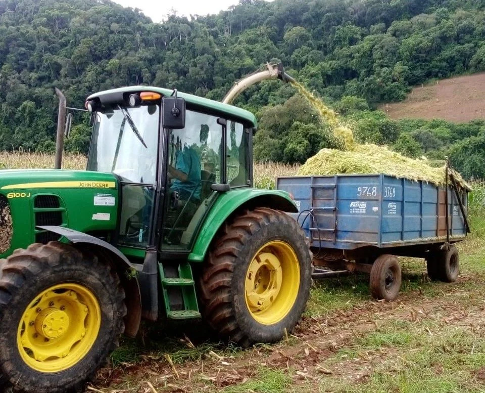 Secretaria de Agricultura de Estrela Velha inicia produção de silagem