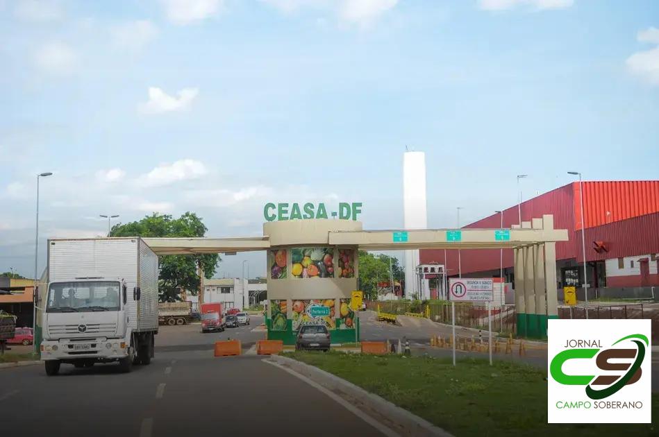 Explorando a variedade de produtos no Ceasa Contagem