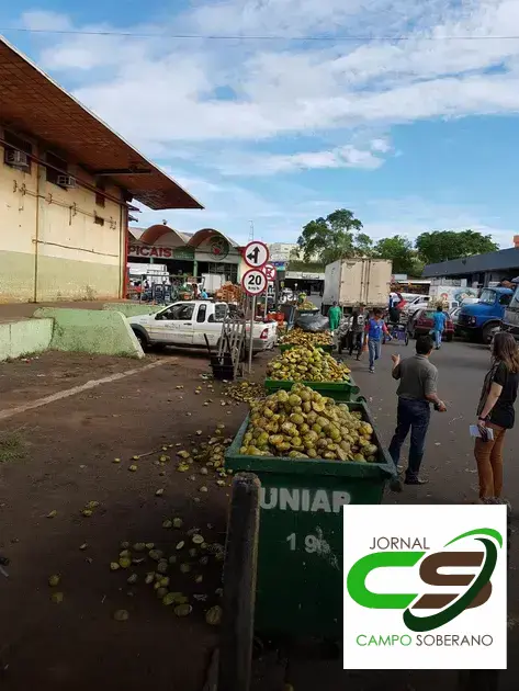 feira ceasa sp