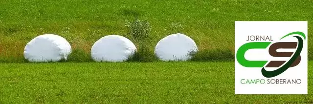 Fermentação e Qualidade Nutricional Fermentação e Qualidade Nutricional